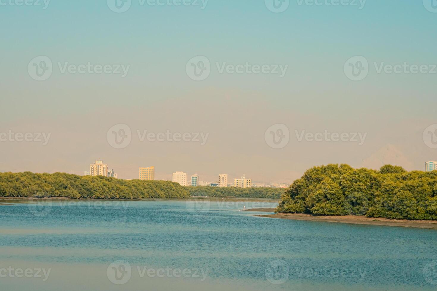 A body of water with trees in the foreground photo