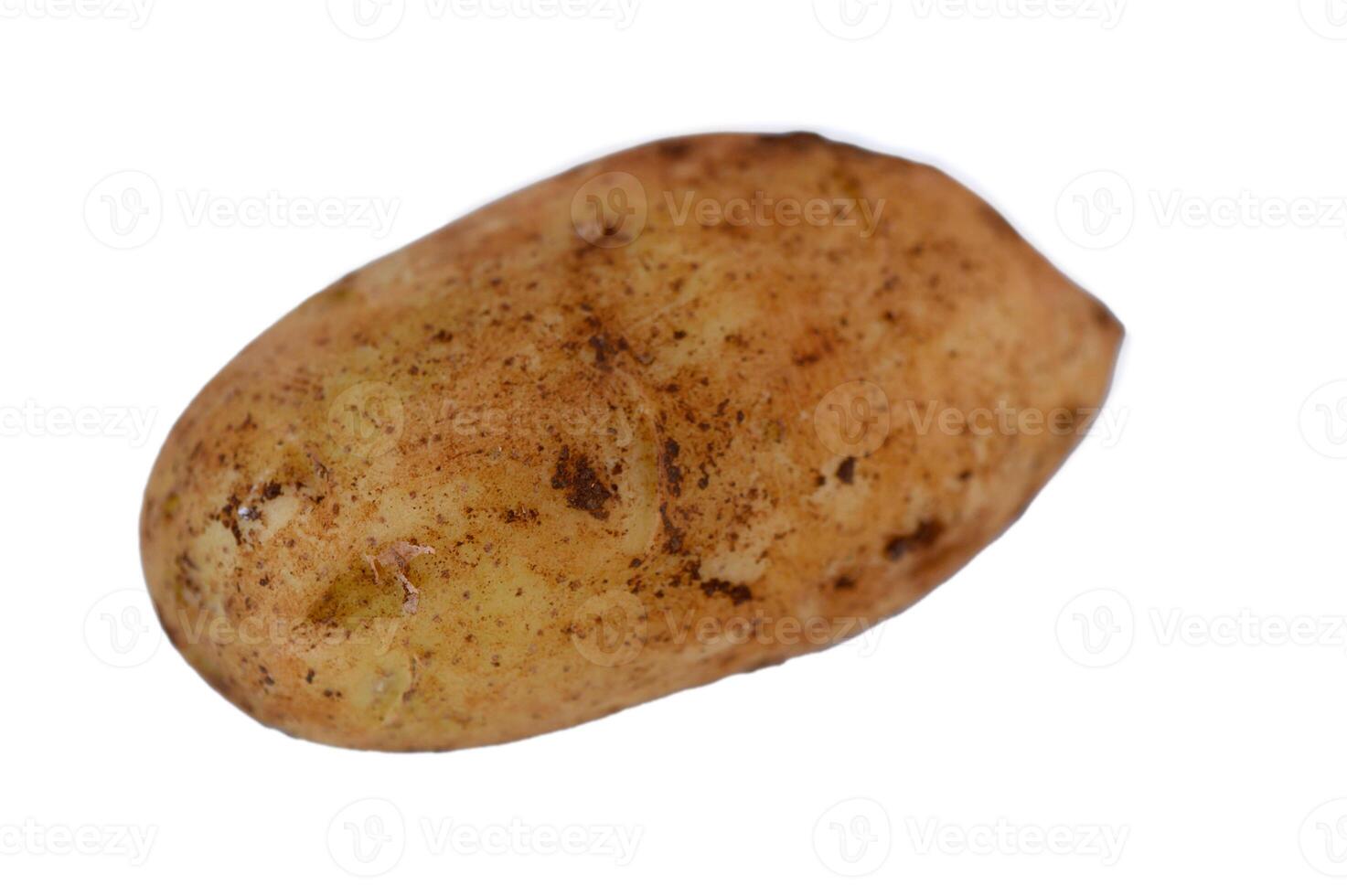 Freshly harvested potato showcases earthy texture and natural imperfections, embodying farm-to-table authenticity and wholesome goodness photo