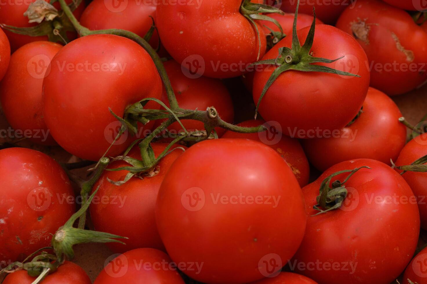 Freshly harvested red tomatoes piled together at a local market showcasing nature's vibrant bounty during a sunny afternoon photo