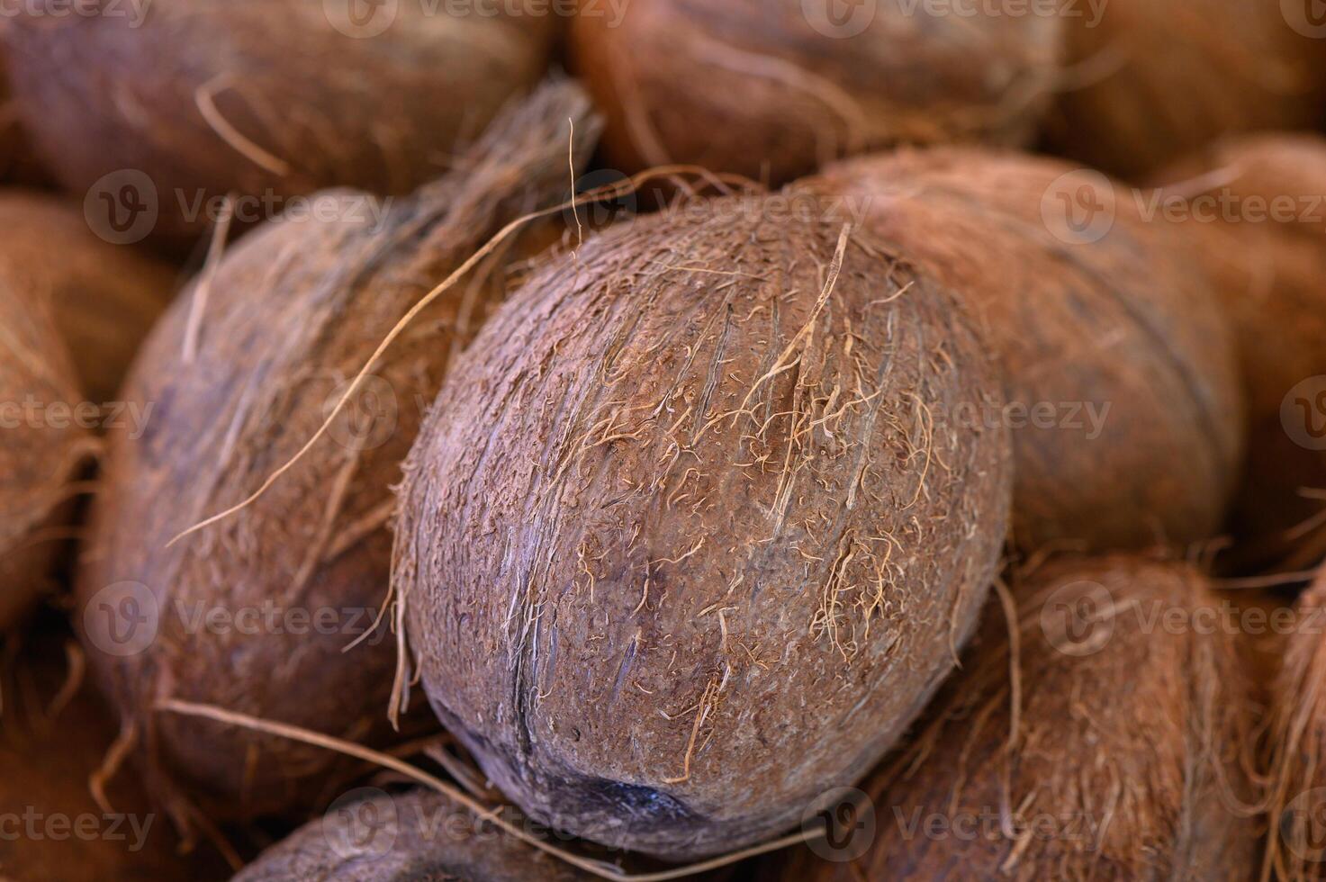 Discovering the natural beauty of coconut husks, a raw material rich in texture and potential for crafts and decoration photo