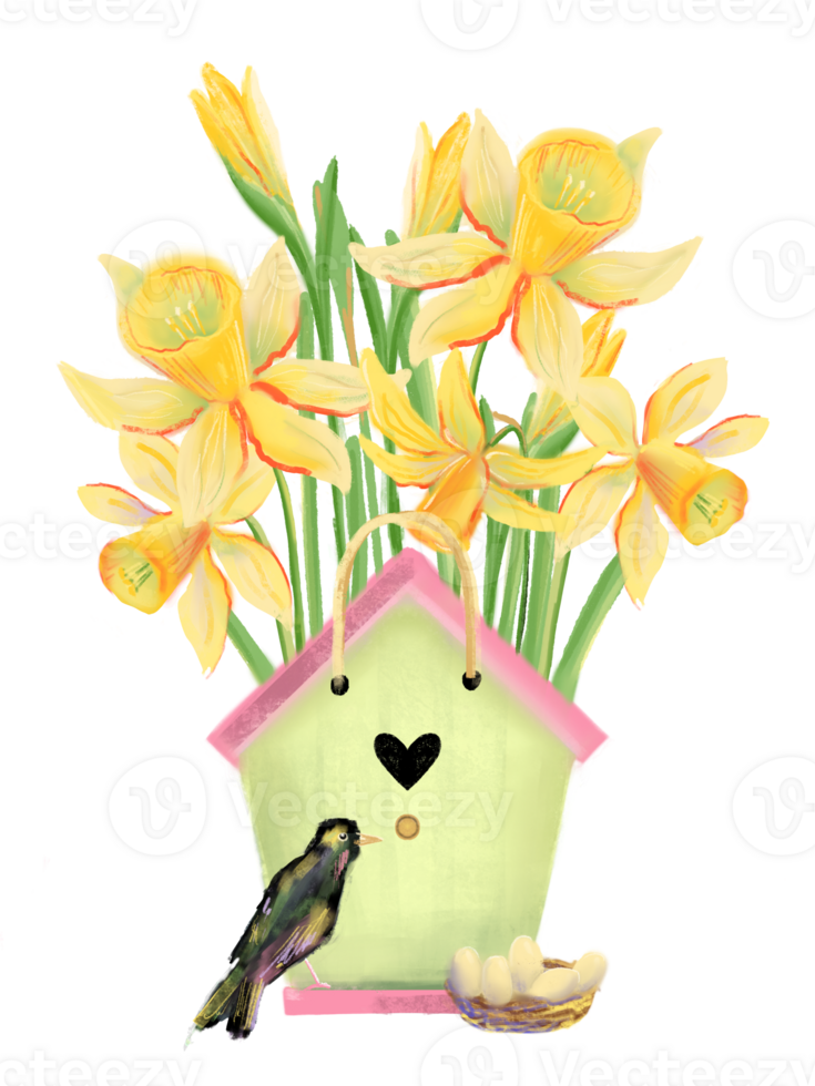 Yellow daffodil with leaves in a paper package that looks like a birdhouse, starling, nest with eggs nearby. Hand drawn spring garden flower illustration, good for print, poster, card or banner. png