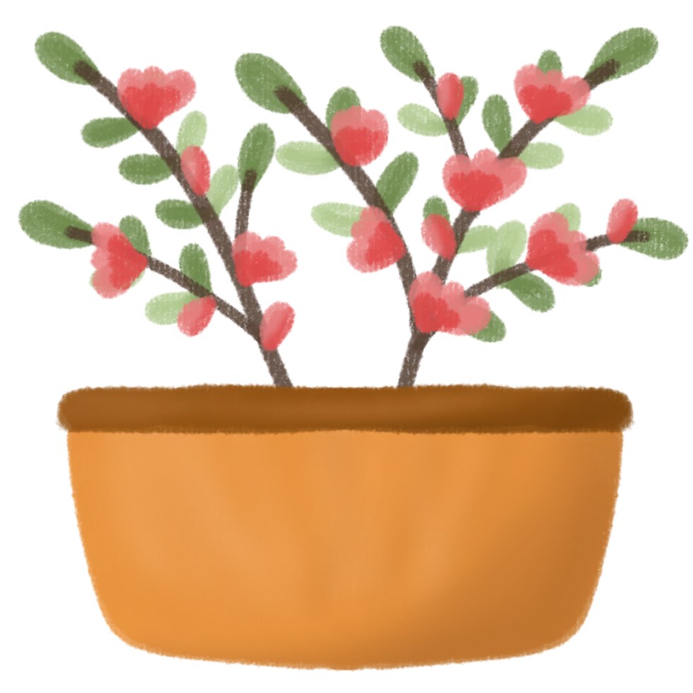 Pink tree plants in a pot png