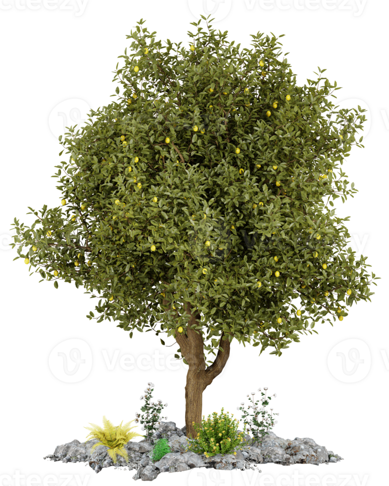 3d model of a lemon tree with rocks and plants png