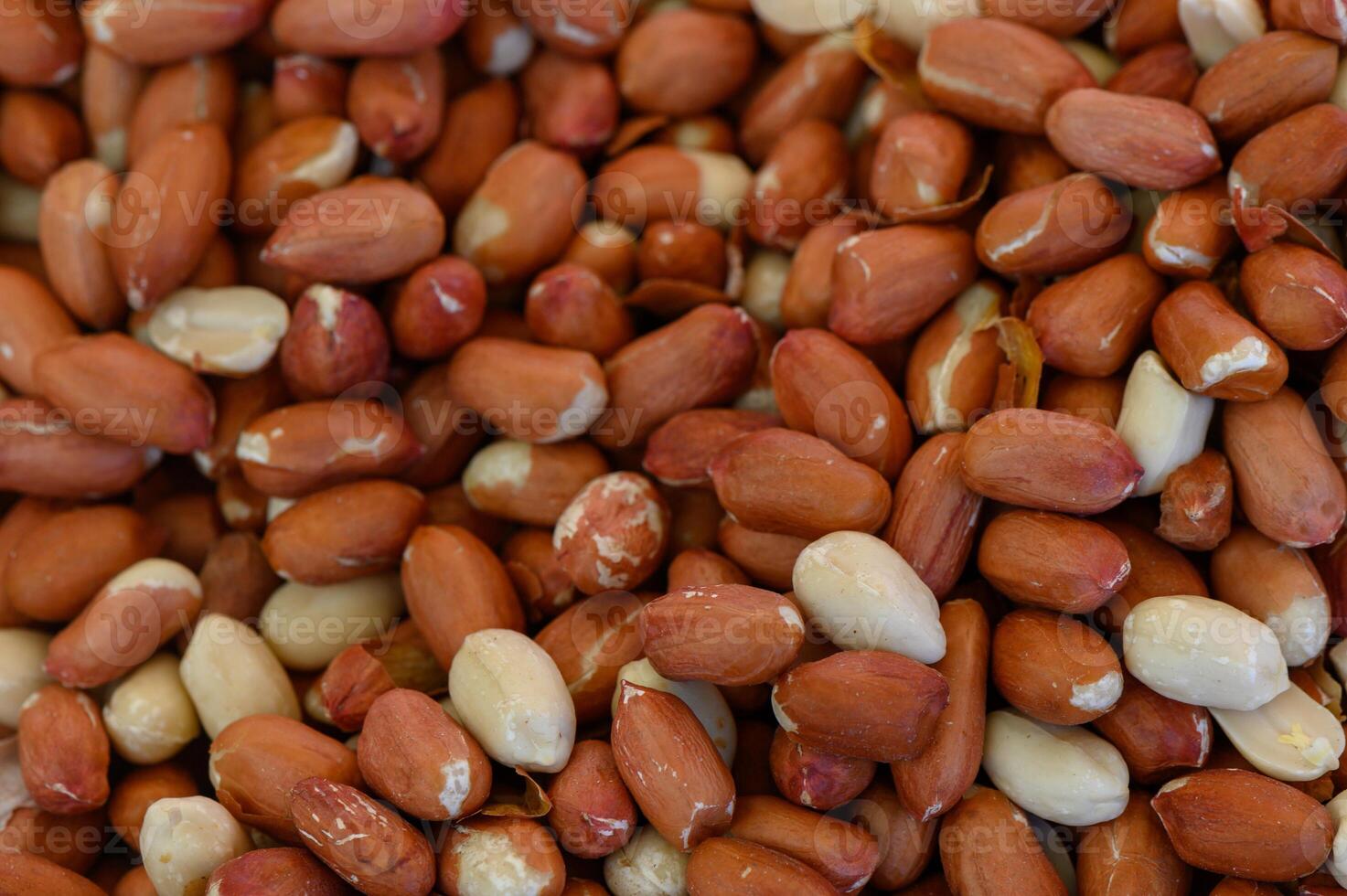 Peanut harvest nestled in earthy hues showcasing the natural bounty of a farm during the golden hour of a late summer evening photo