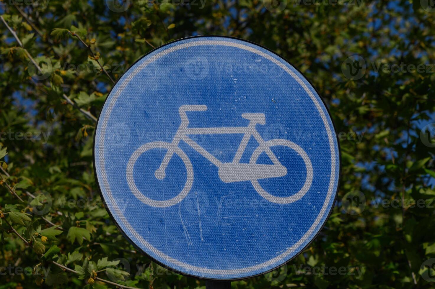 Enjoying cycling adventures on a sunny day in the park with lush greenery surrounding the blue bike path sign photo