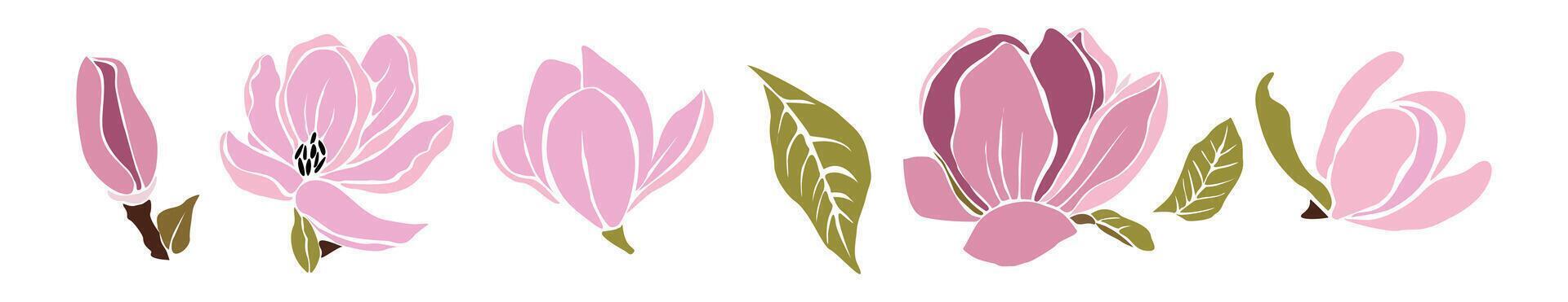 Set of hand drawn pink magnolia flowers and leaves vector