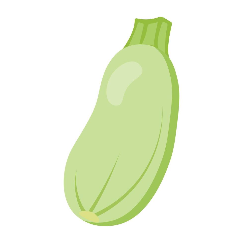 Simple light green zucchini illustration Perfect for healthy food projects, vegetarian cooking content, garden themes, farming visuals and organic lifestyle design vector