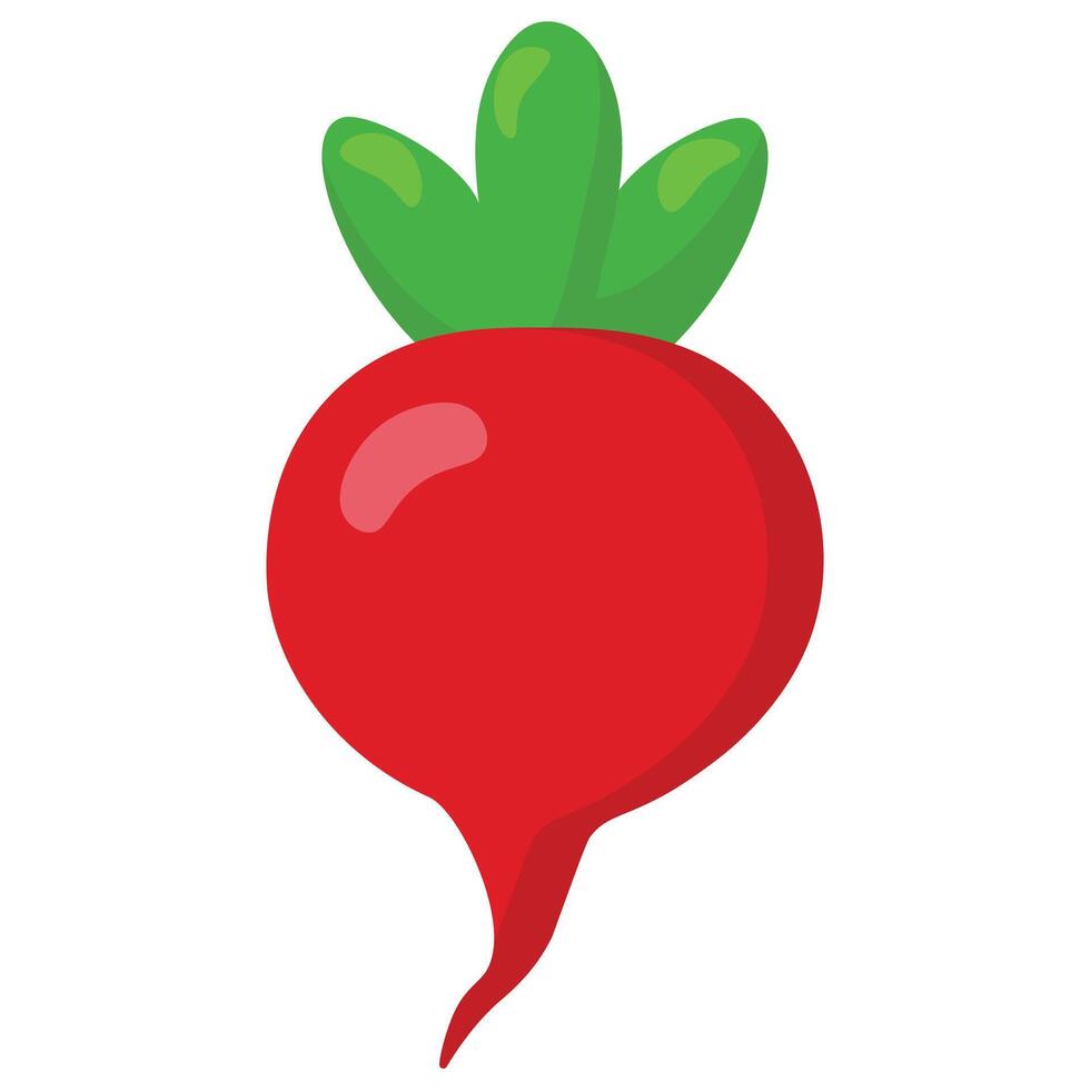 Bright red radish illustration with green leaves, minimal design Perfect for healthy food concepts, farming visuals, nutrition blogs, or organic product packaging vector