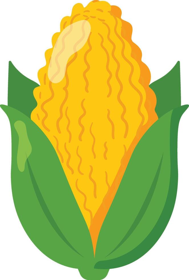 Bright corn illustration with green husk, ideal for farm product branding, healthy eating visuals, seasonal designs, and children's educational materials vector