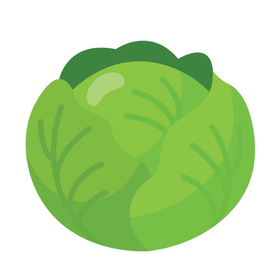 Green cabbage icon in flat style Perfect for healthy food projects, grocery apps, vegetarian menus, and educational materials about vegetables vector