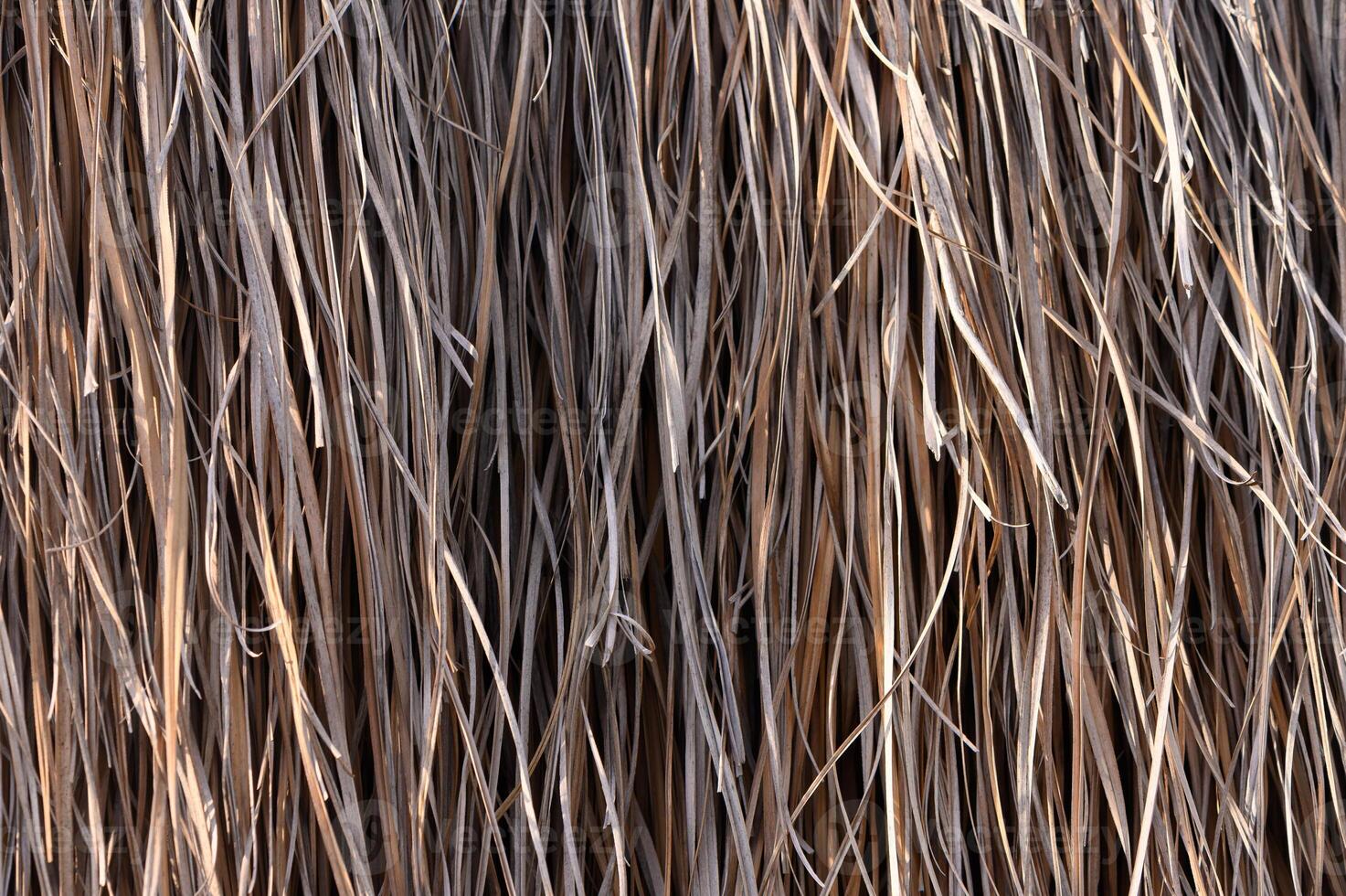 Natural textures of dry grass creating a rustic background for crafts and decorations in a sunny summer afternoon photo