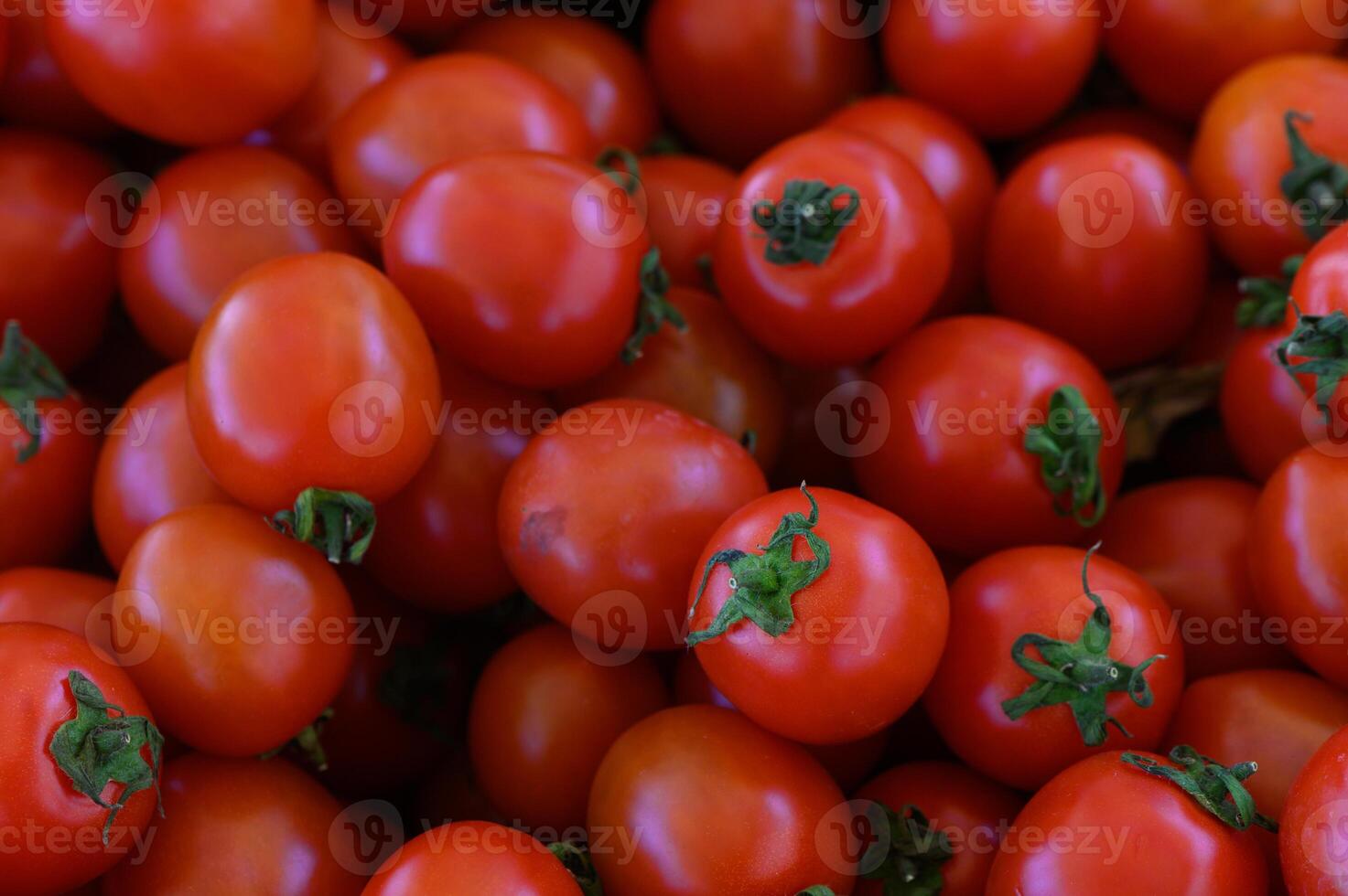 Vibrant cherry tomatoes freshly harvested from a sunny garden, showcasing their rich color and healthy sheen photo