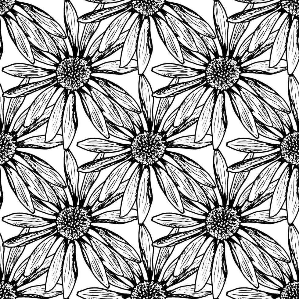 Seamless black and white floral pattern featuring hand drawn daisy-like flowers. Botanical ink artwork with blooming echinacea, chamomile, calendula and rudbeckia, perfect for packaging or textiles vector