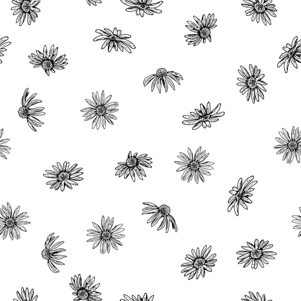 Seamless pattern with hand drawn wildflowers in ink. Featuring daisy-like blooms resembling echinacea, chamomile, calendula or rudbeckia. Ideal for eco packaging, textile, cards and botanical designs. vector