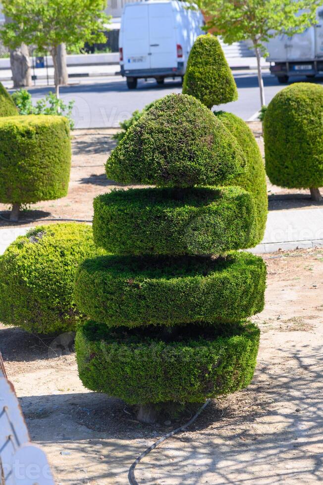 Sculpted greenery showcases artistry of topiary design in public park during sunny afternoon photo