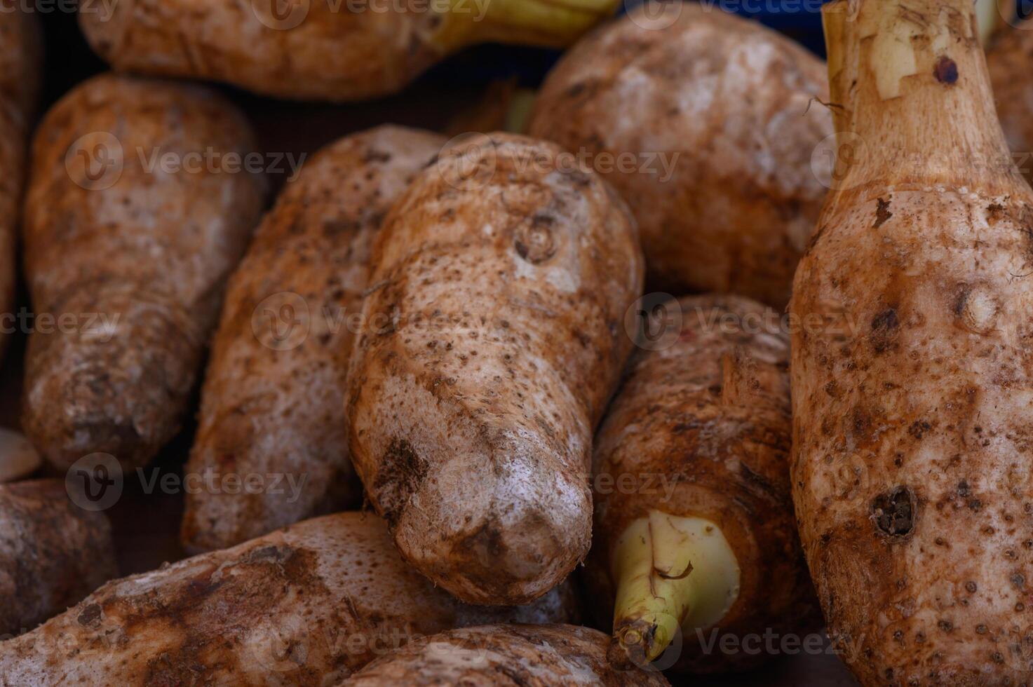 Freshly harvested tubers arranged in vibrant display at a bustling farmers market in the heart of autumn harvest season photo
