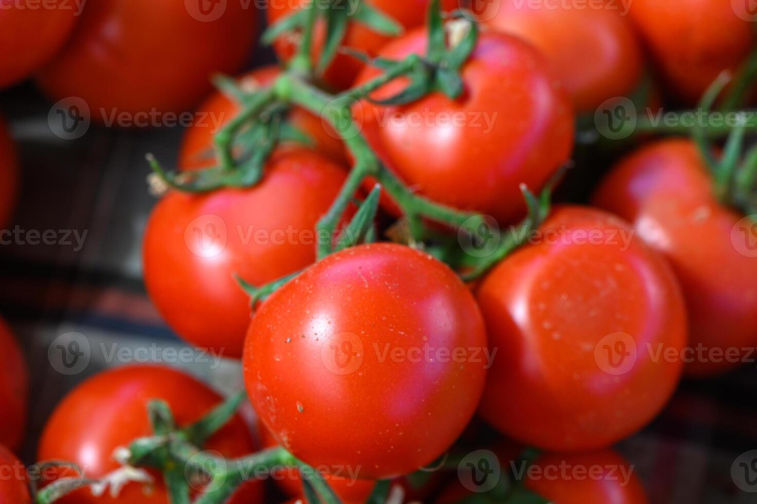 Fresh red tomatoes basking under warm sunlight at a bustling farmers market in summer photo
