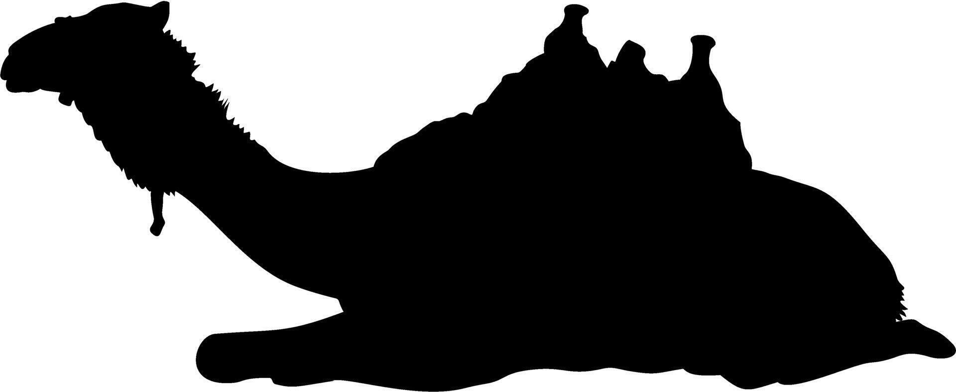 Laying Down Camel Silhouette vector