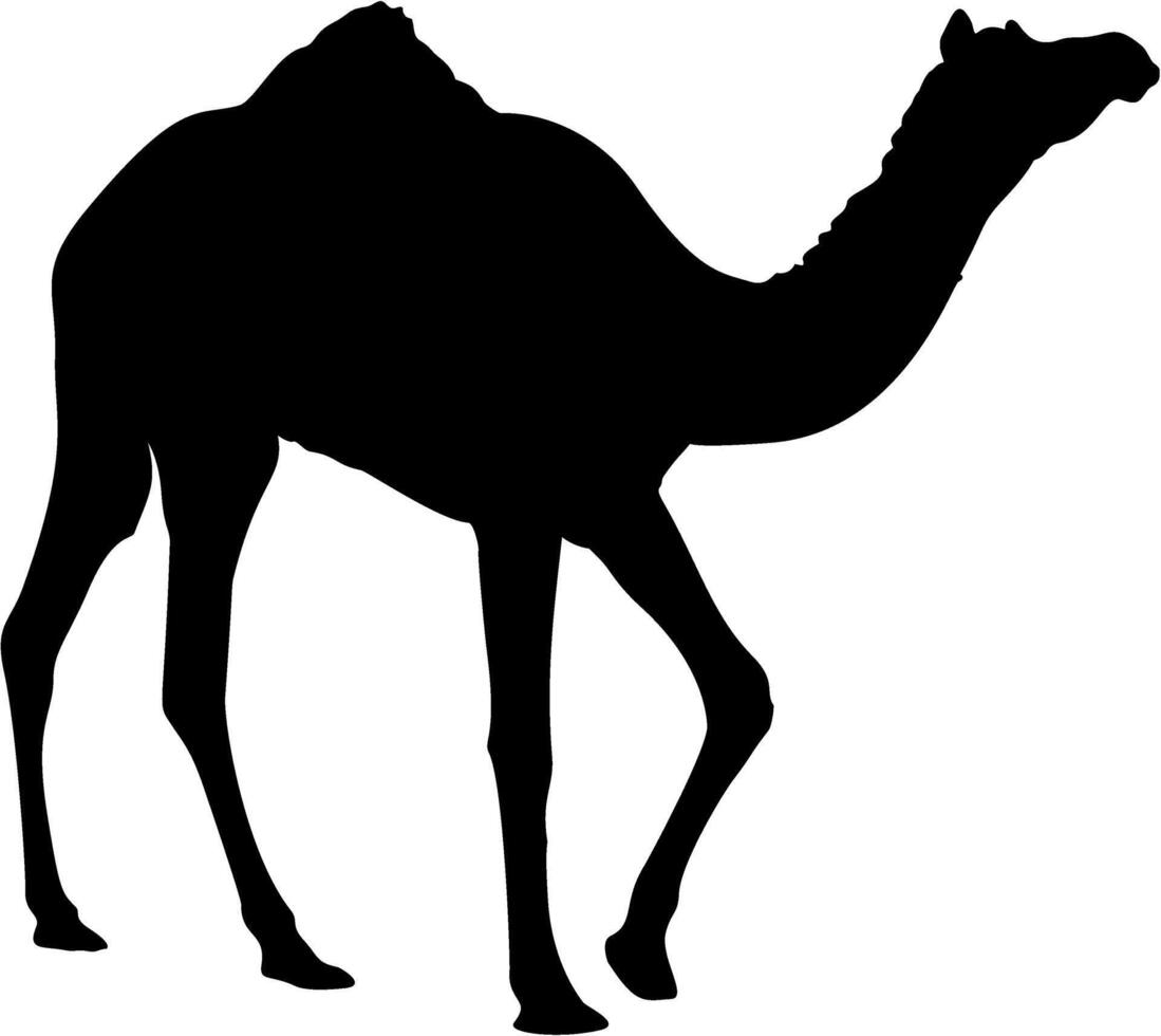 Walking Right Camel Silhouette vector