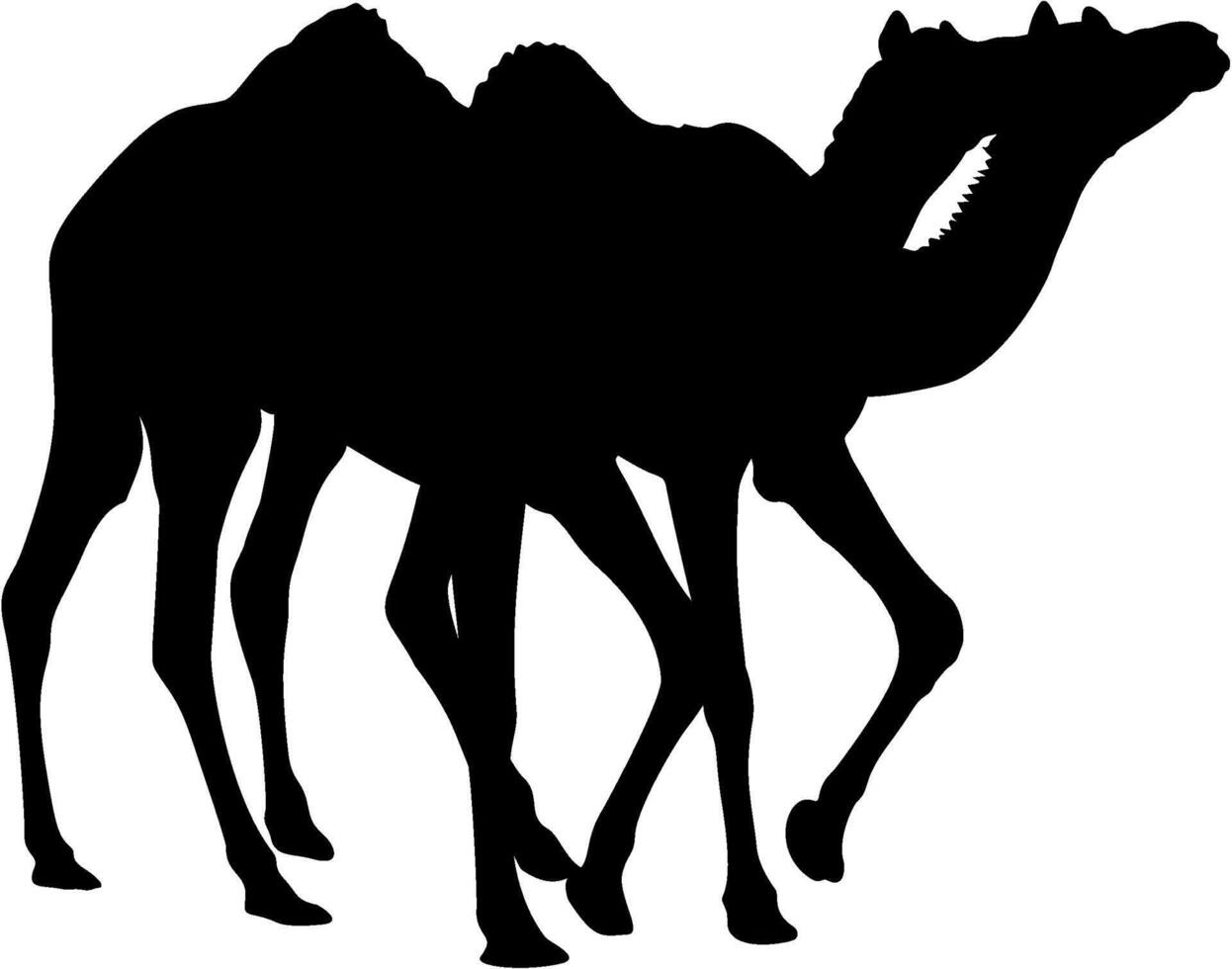 2 camel silhouette vector