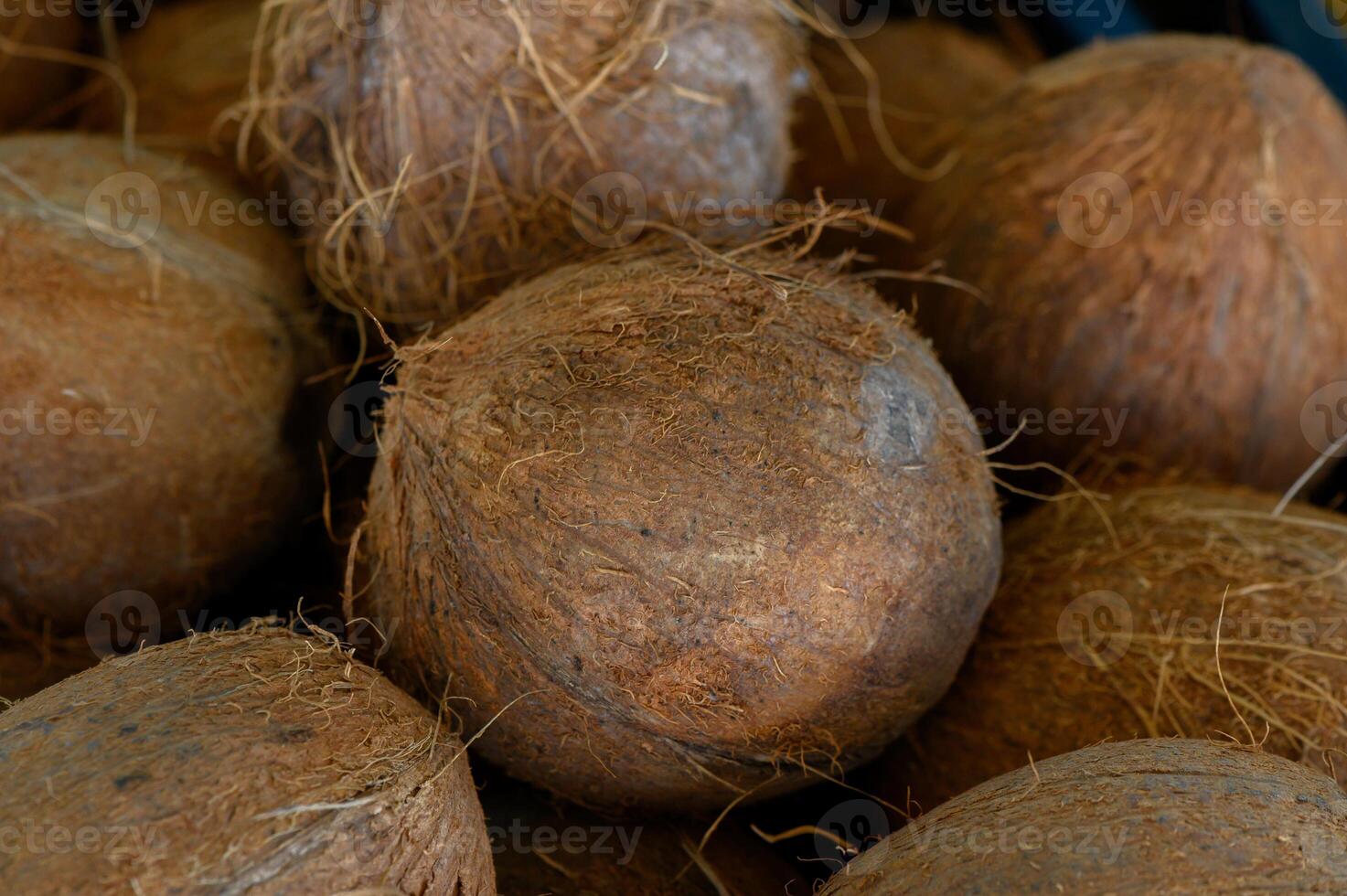 Coconuts resting together in a rustic market stall surrounded by earthy textures and vibrant colors photo