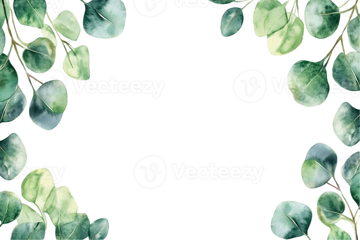 Watercolor Eucalyptus Frame on Transparent Background png