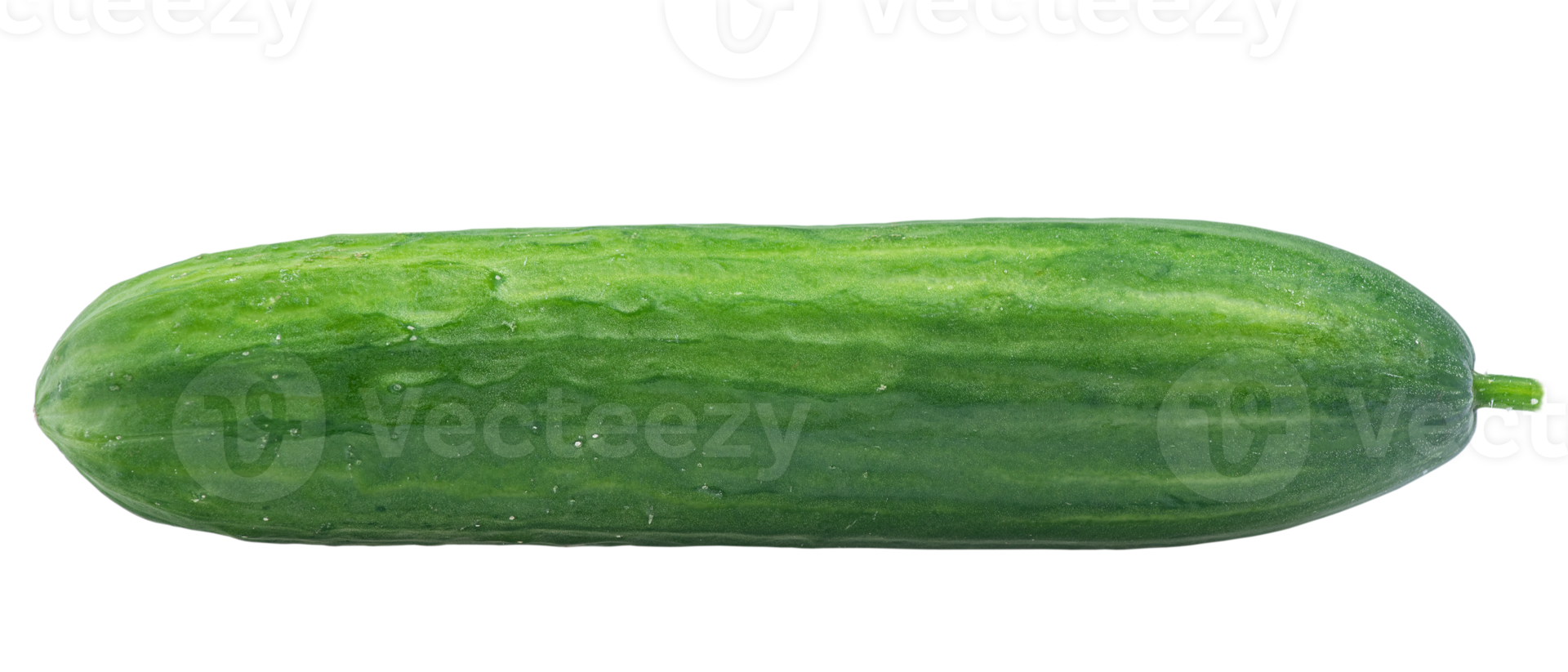 One smooth cucumber isolate Vegetable, cucumber. png
