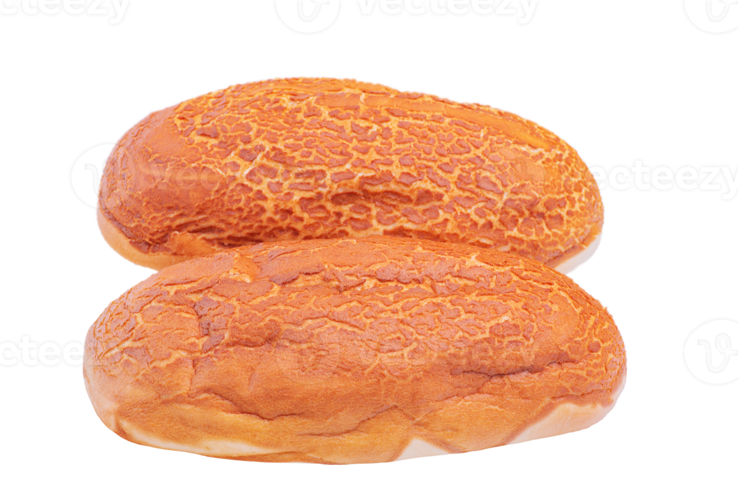 Two fresh wheat breads isolated. png