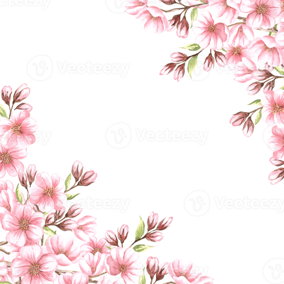 Almond pink flowers with leaves and bud watercolor square frame isolated. Floral template with copy space from spring sakura, cherry blossom. Illustration of spring blooming fruit in sketch style. png