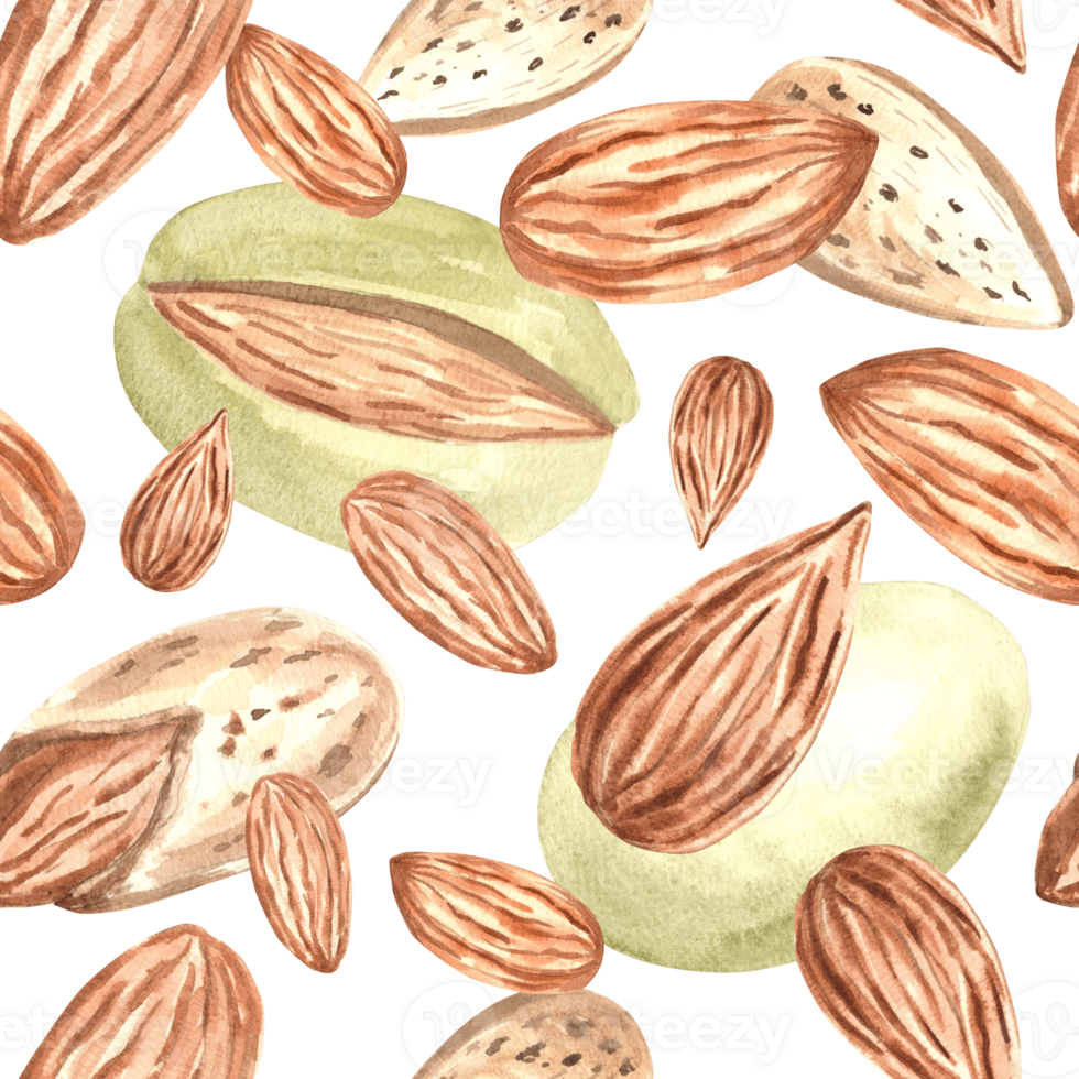 Almond nuts kernels with skin and shell watercolor seamless pattern. Hand drawn illustration from natural organic food. Spice for cooking and bakery. Crunchy snacks background template for food design png