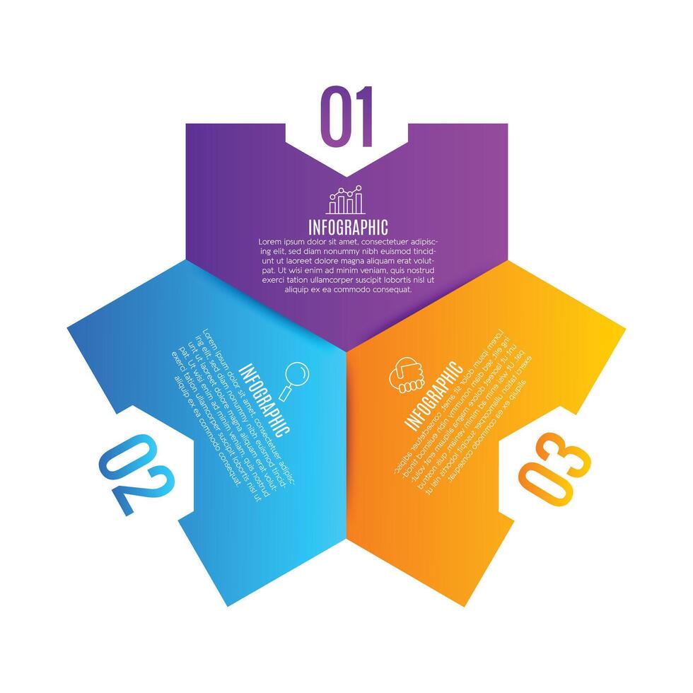 Designed modern 3 step infographic layout stylish chart list template with icons vector