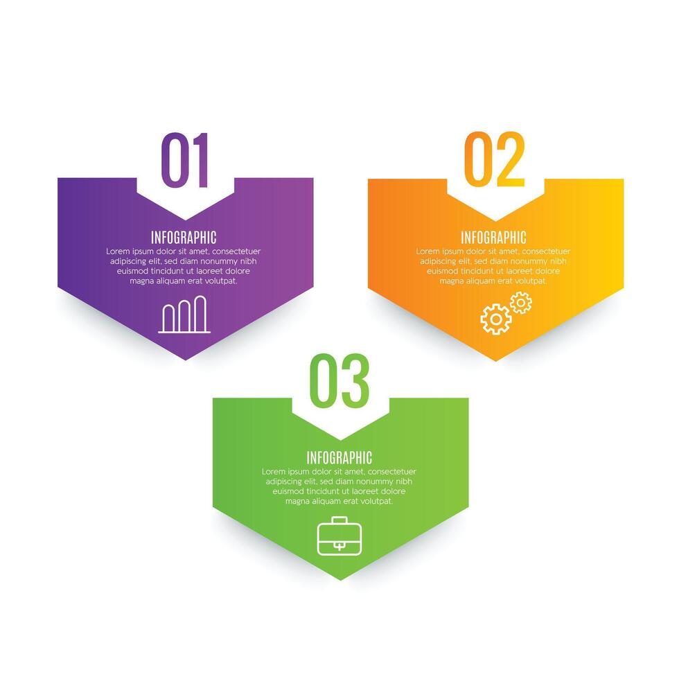 Stylish modern infographic layout 3 step with icons chart list editable design vector