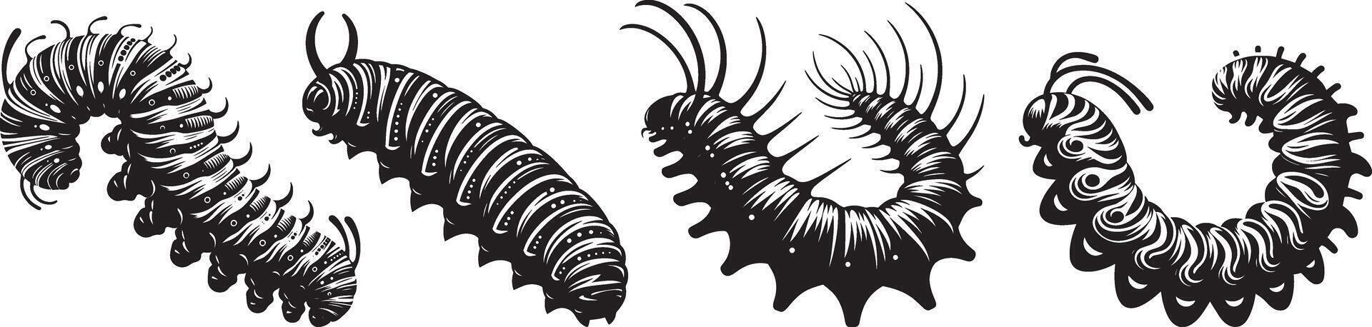 A set of three different types of worms vector