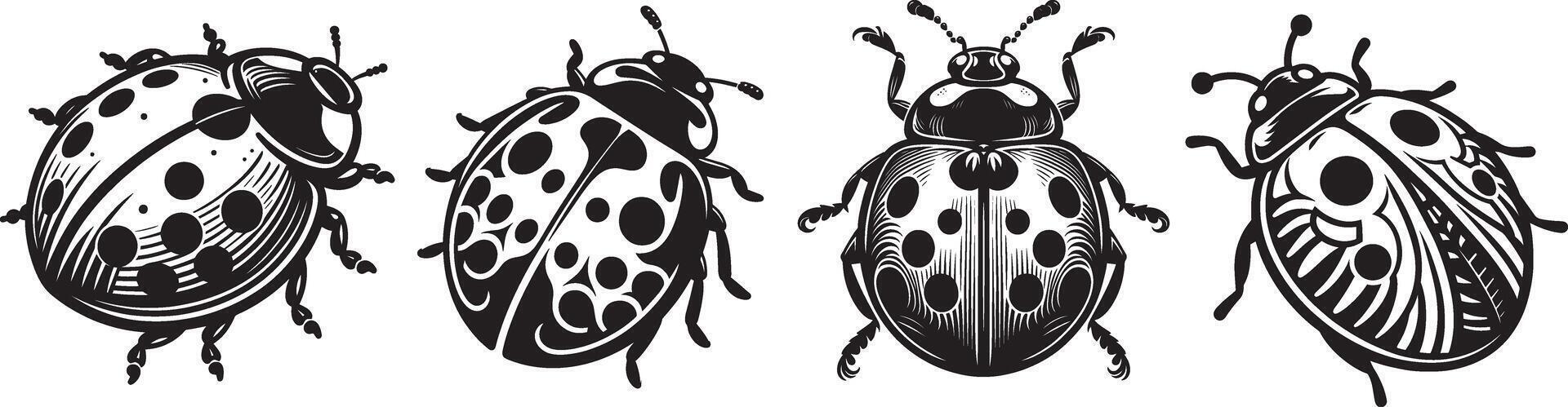 Four ladybugs in different positions vector