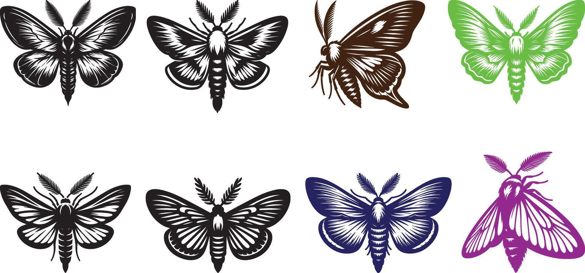 Butterflies in different colors vector