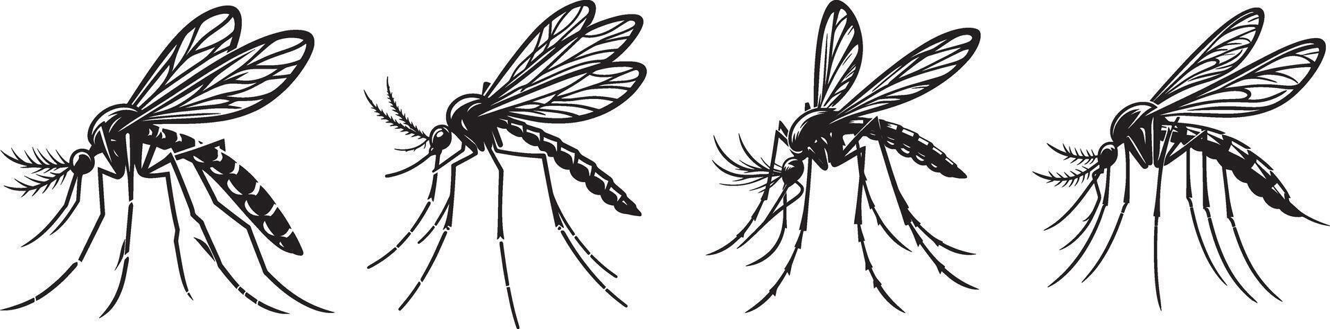 Four different types of mosquito with long legs vector