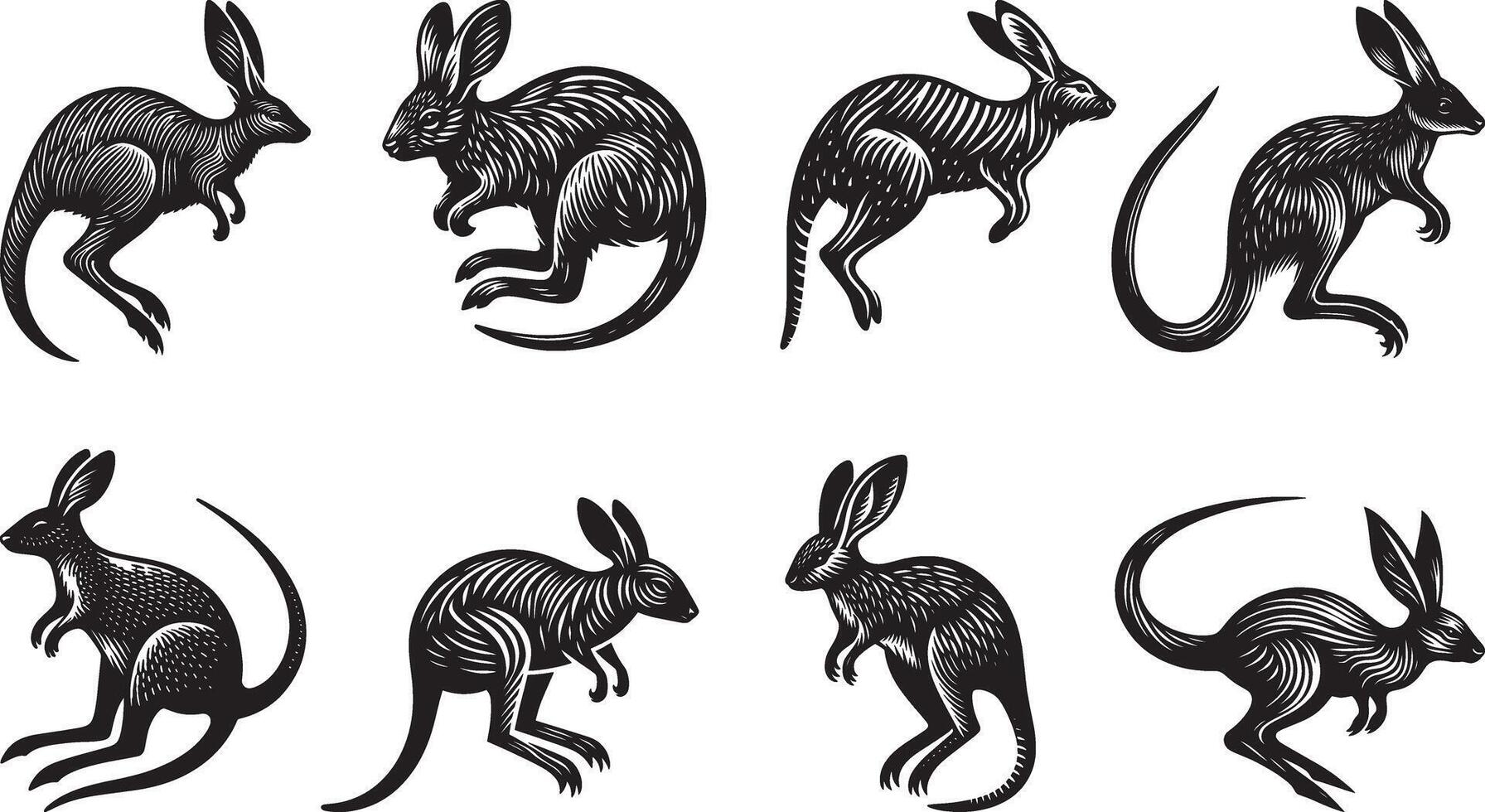 Kangaroo black and white illustration vector