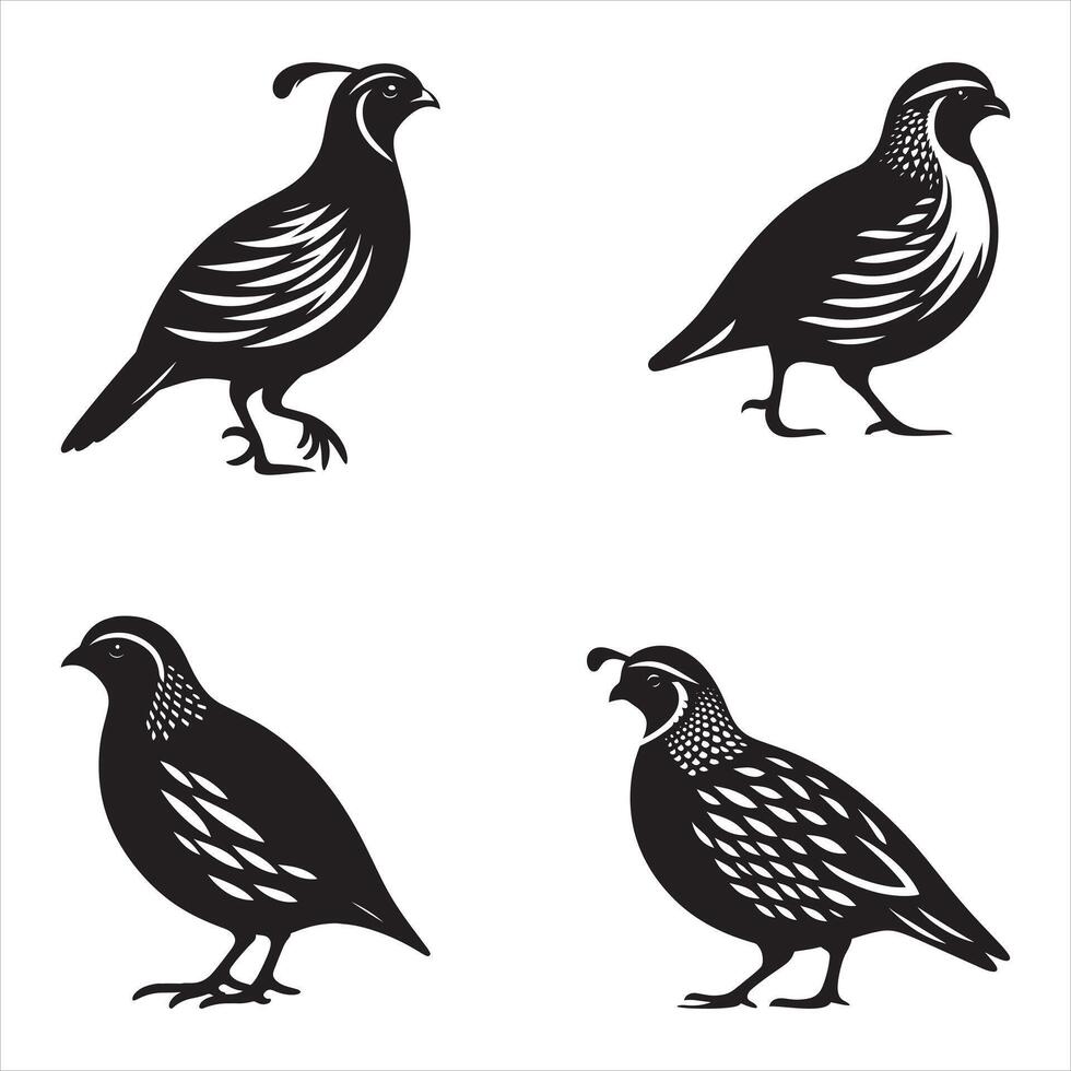 Set of pheasant silhouettes illustration vector