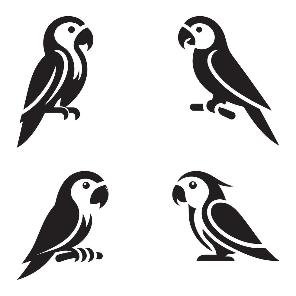 Four different parrots on a branch vector
