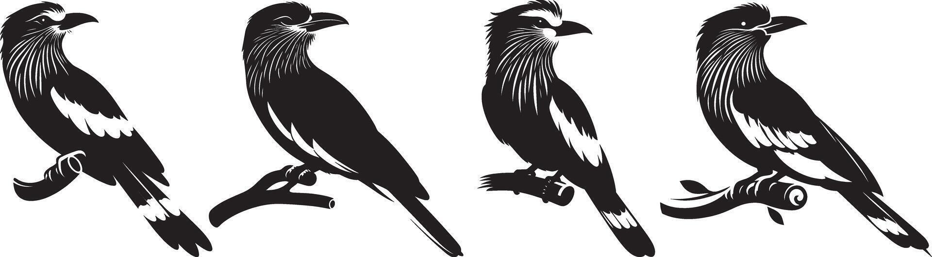 Four different birds sitting on branches vector