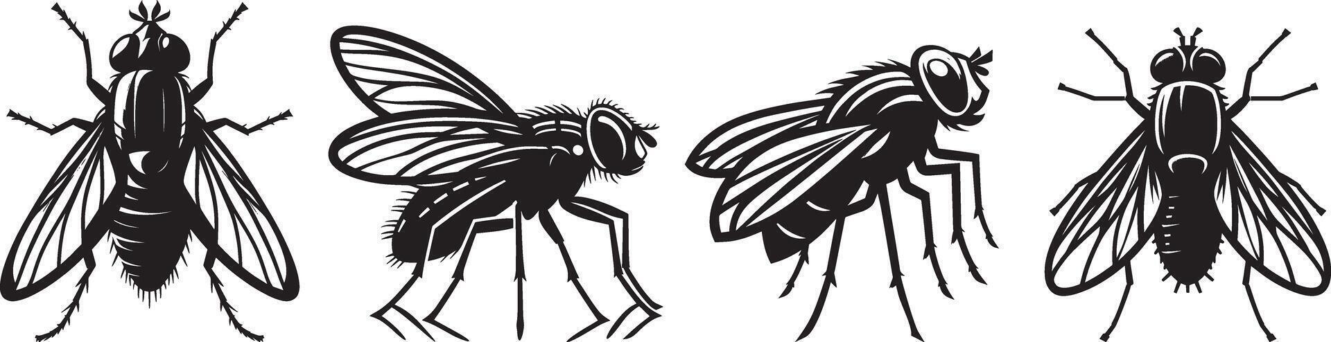 Four different types of flies on a white background vector