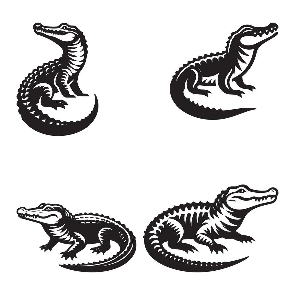 Four alligators in different poses on a white background vector