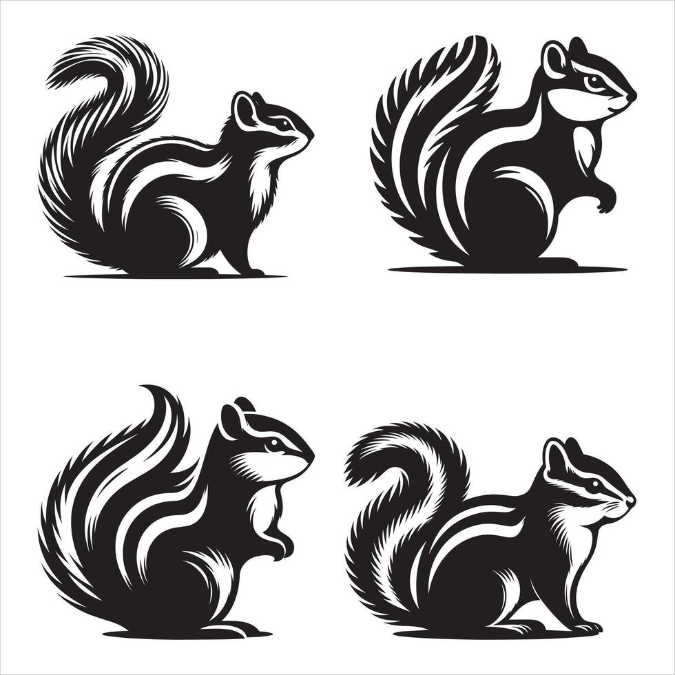 Four black and white squirrels on a white background vector