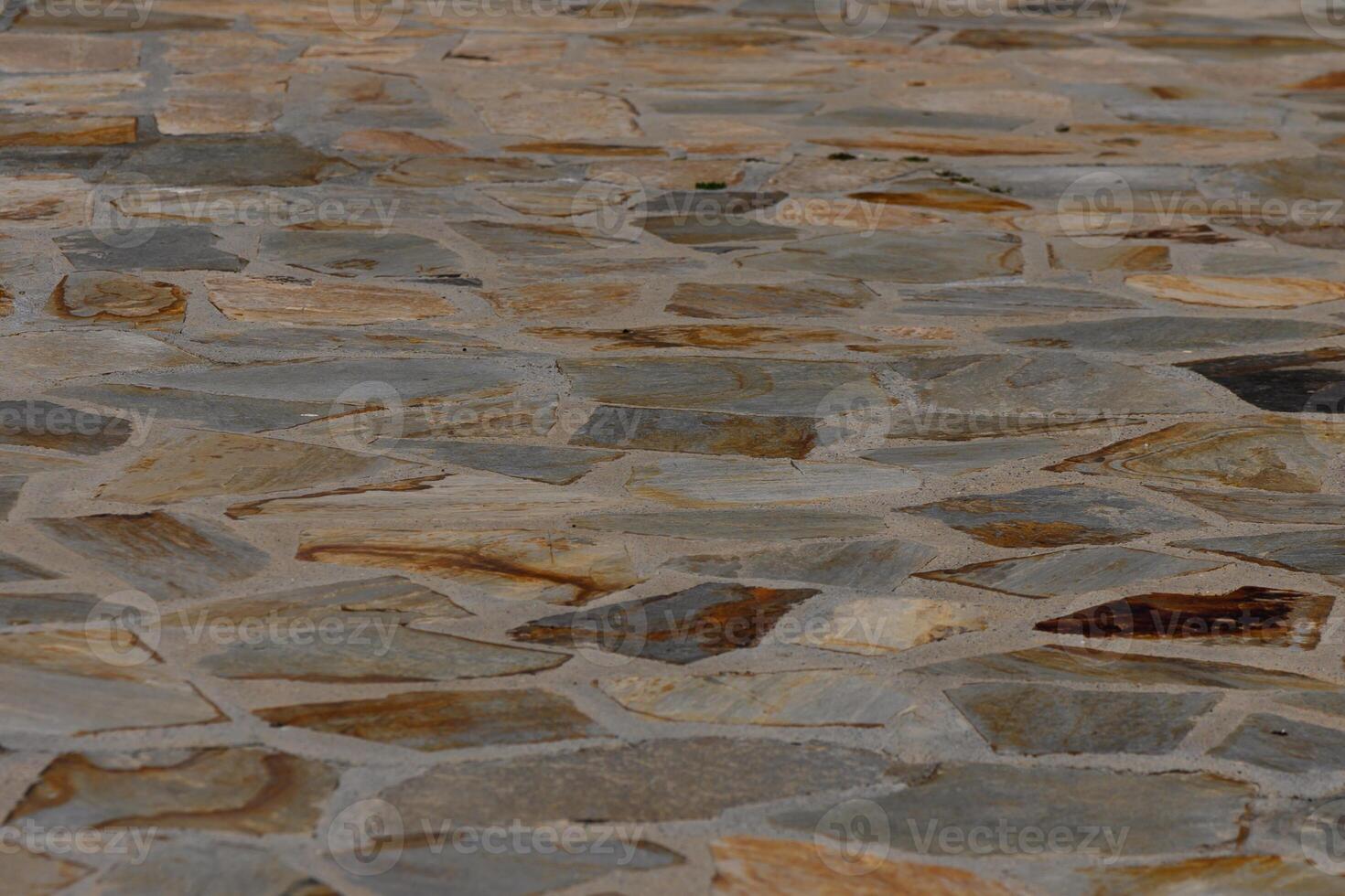 Beautifully arranged stone pathway in a tranquil garden setting during early morning light photo