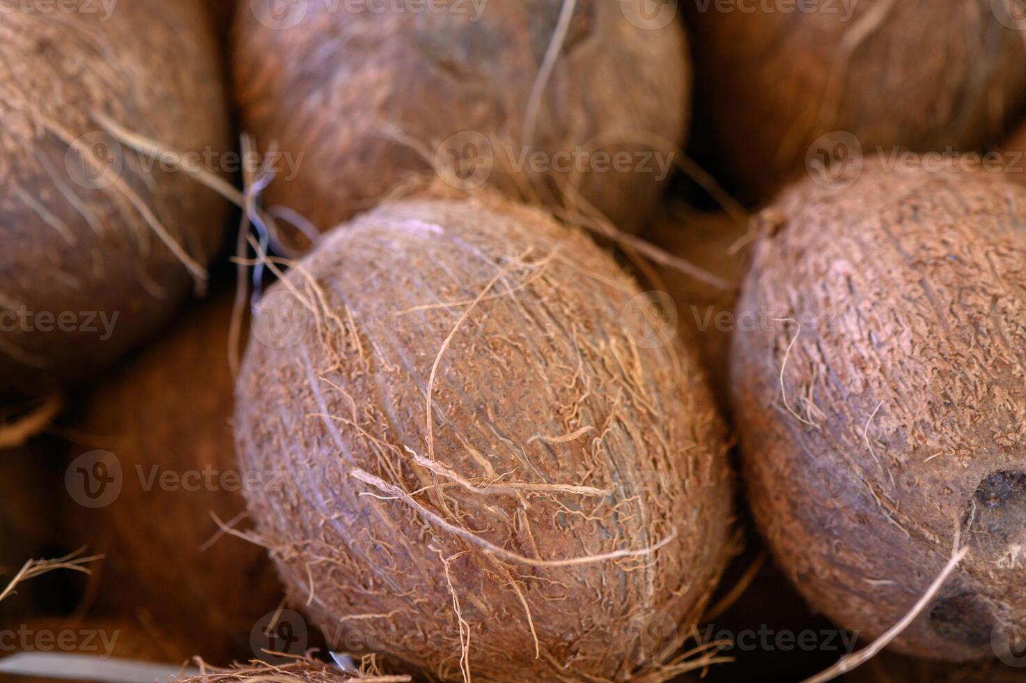 Unique coconuts nestled together in a vibrant market bustling with life during a sunny afternoon photo