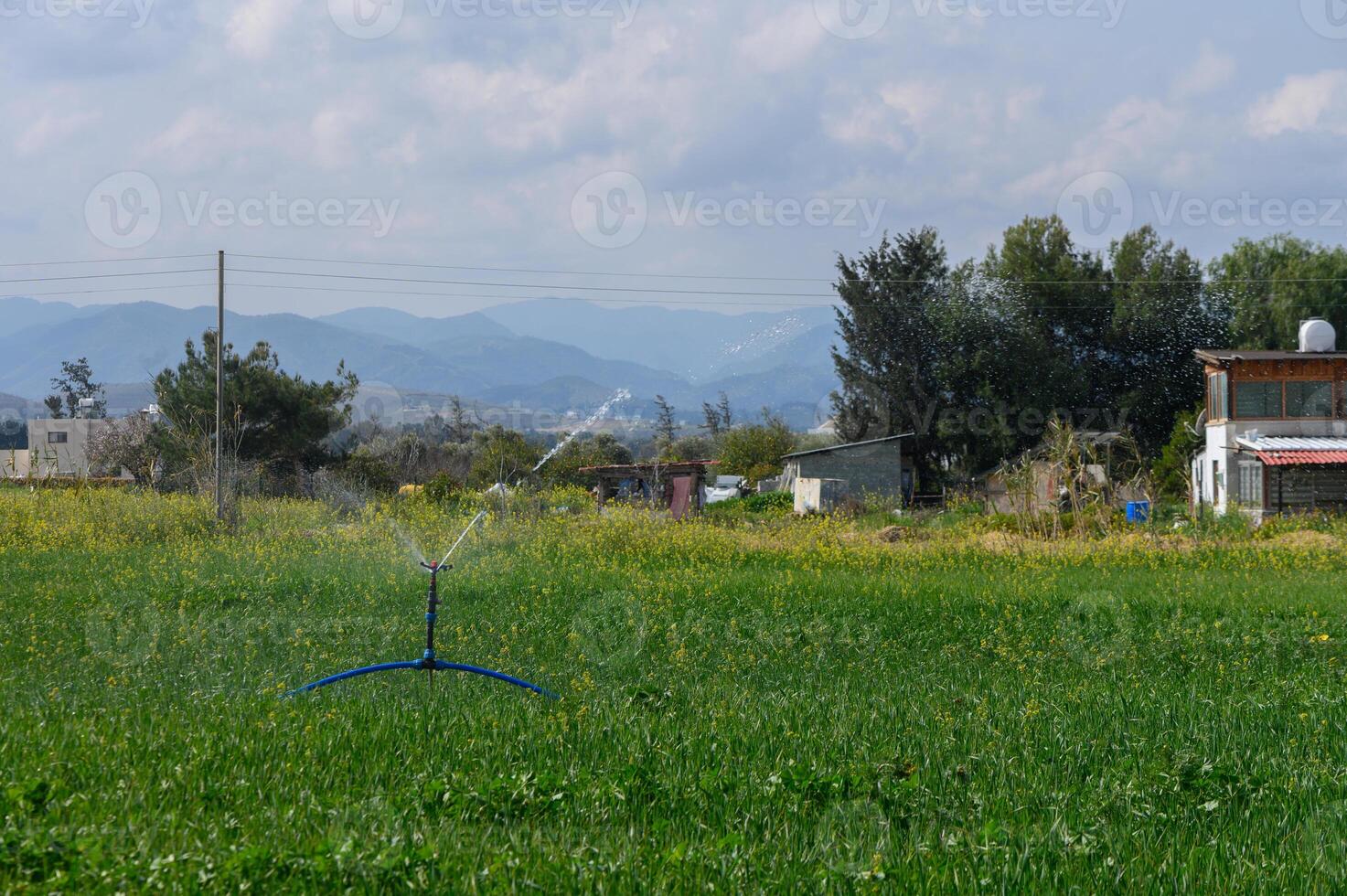 Lush green fields come alive with irrigation under a bright sky in rural landscape photo
