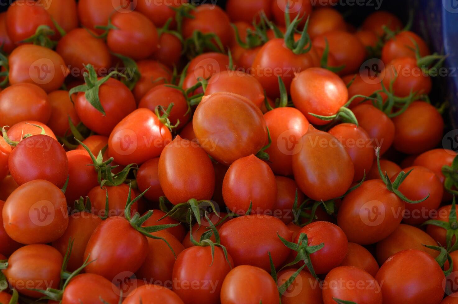 Freshly harvested cherry tomatoes displayed at a local farmers market during a sunny afternoon in early summer photo