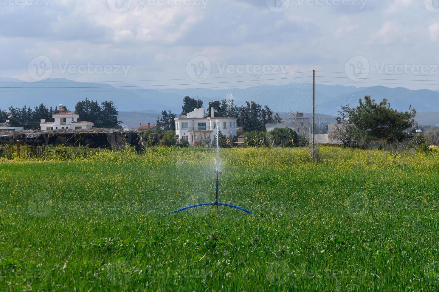 Sprinkler system in lush green fields with distant mountains and buildings under a dramatic sky photo