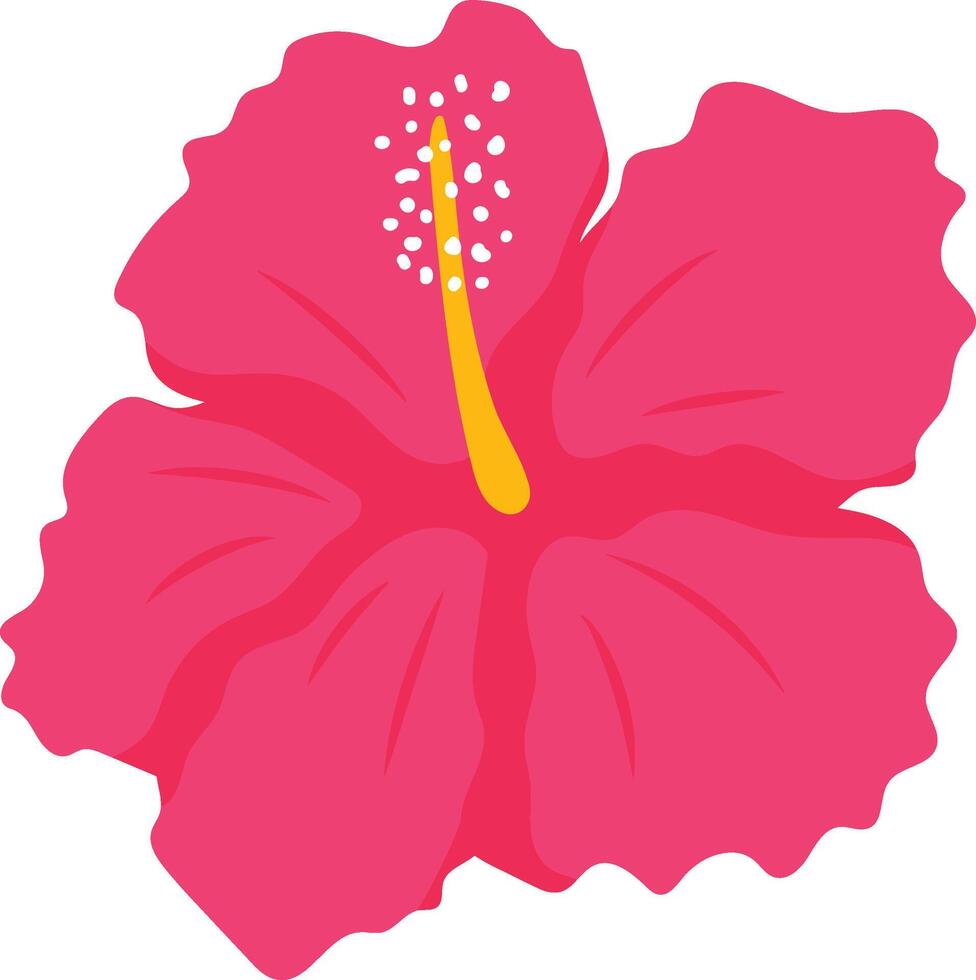 Pink Hibiscus Flower Illustration. vector