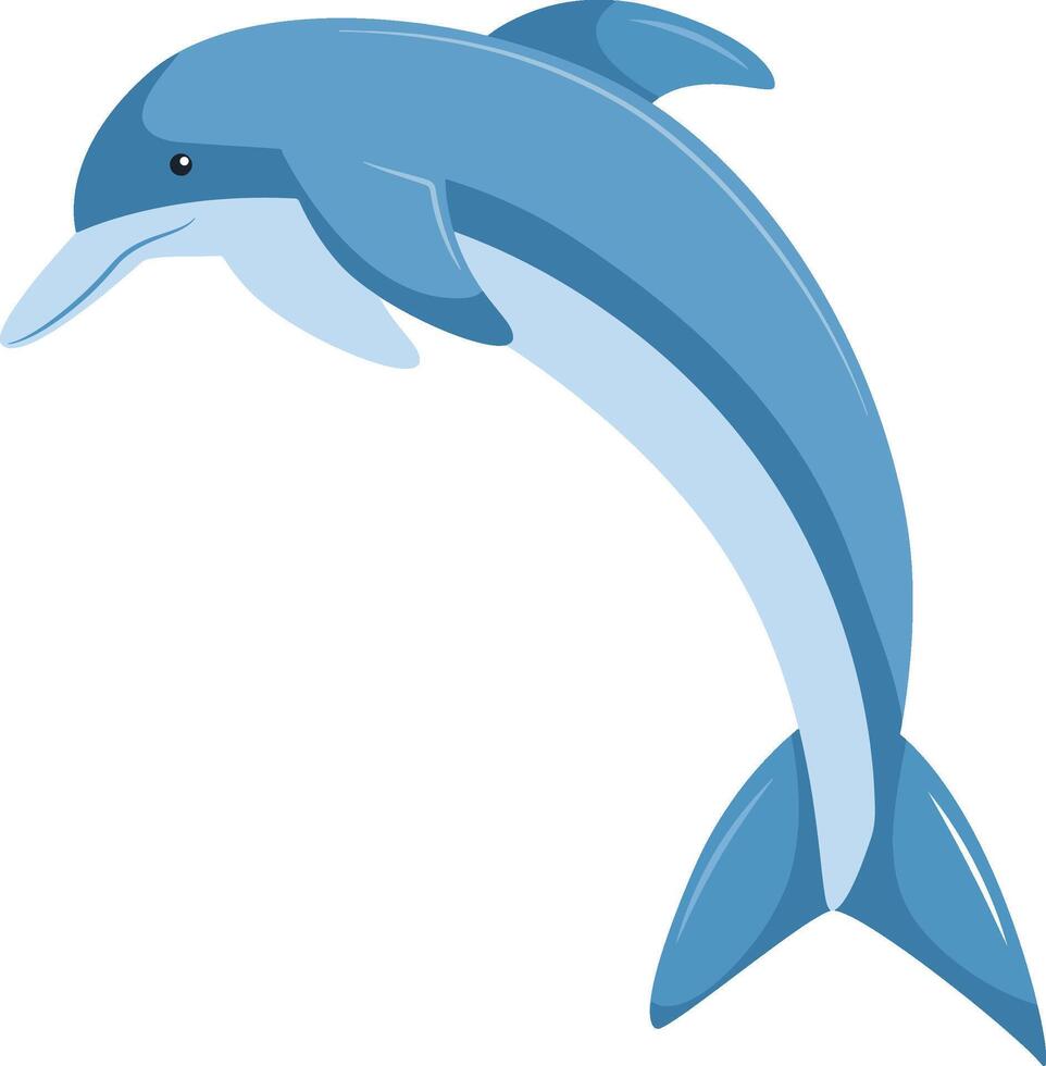 Jumping Dolphin Illustration. vector
